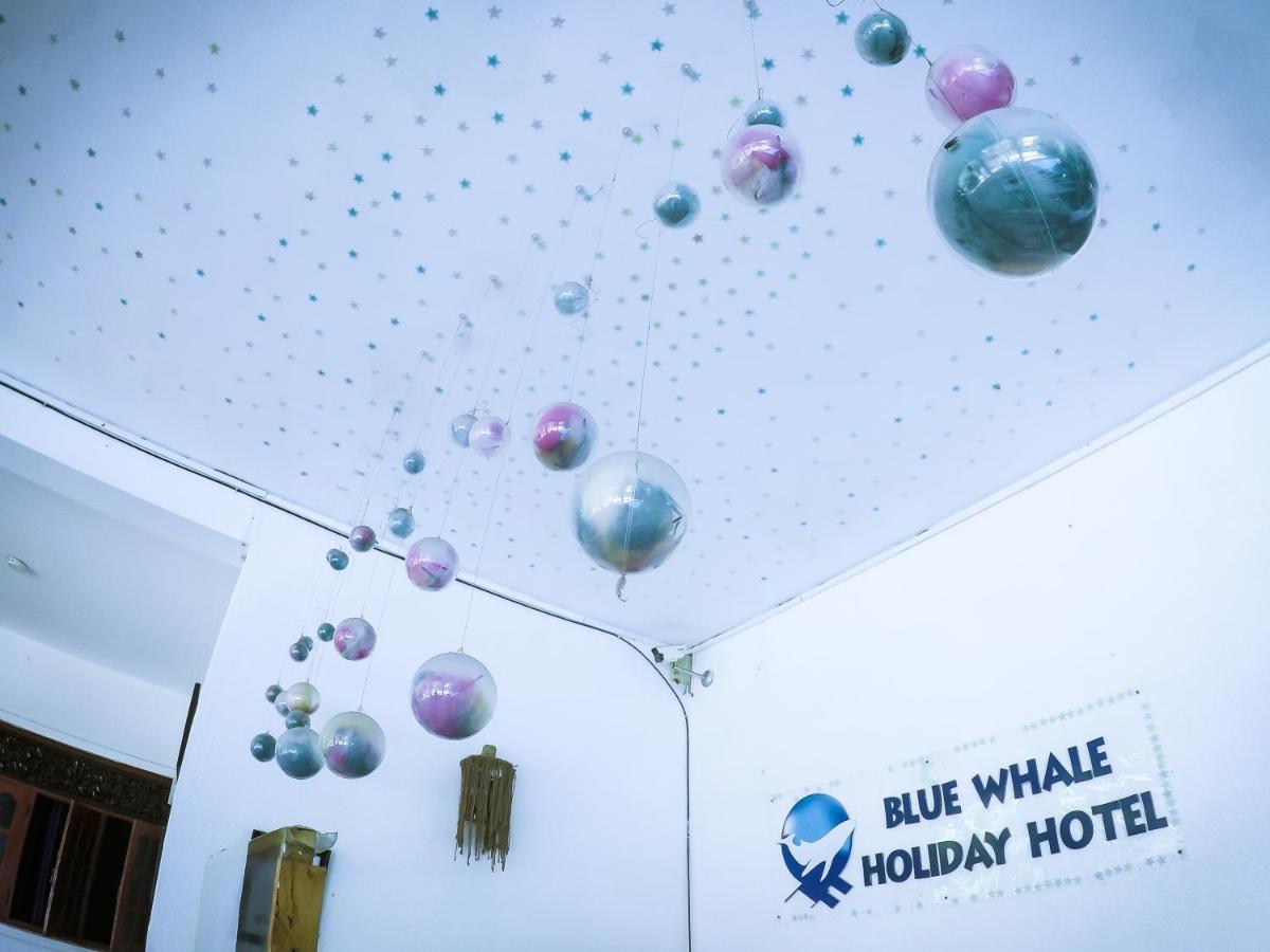 Mirissa Blue Whale Holiday Hotel Exterior photo
